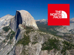 Typeface of The North Face – alena fernandez