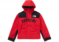 Supreme The North Face Arc Logo Mountain Parka Red