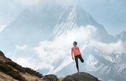 The North Face Logo | Toni Marino