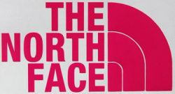 The North Face Sticker