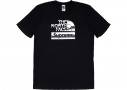 Supreme The North Face Metallic Logo T-Shirt Black