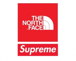 North face supreme Logos