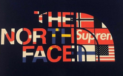 New Supreme x North Face collab in the works