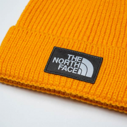 the north face Logo Box Cuffed Beanie ZINNIAORANGE/A bei KICKZ.com