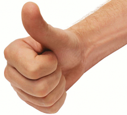 thumbs up large - /sign_language/thumbs_up_large.png.html