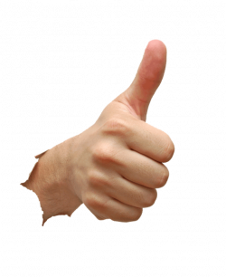 Thumb Hand model - Thumbs Up down png download - 486*595 ...
