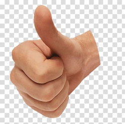 Right person\'s hand doing thumbs up, Thumb Up transparent ...