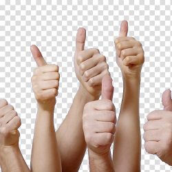 Person\'s thumbs up illustration transparent background PNG ...