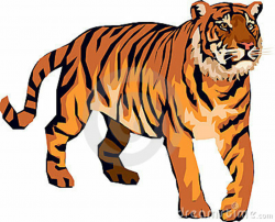 Cartoon tiger clipart kid - Cliparting.com