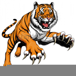 Red Tiger Clipart | Free Images at Clker.com - vector clip art ...