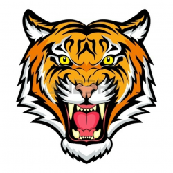 Growling Tiger Clipart & Free Clip Art Images #3310 - Clipartimage.com