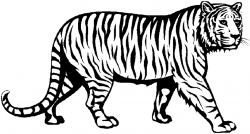 Tiger black and white tiger face clip art black and white free ...