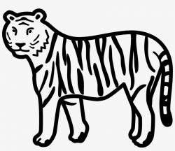 Tiger Clipart Black And White - Tiger Drawing Clip Art Transparent ...