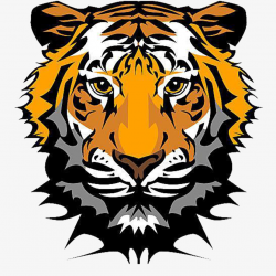 Face Paralyzed Tiger, Face Clipart, Tiger Clipart, Orange PNG ...