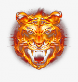 Fierce Fire Tiger, Tiger Clipart, Flame, Tiger PNG Transparent Image ...