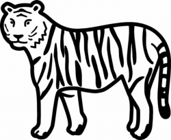 Tiger black and white cute tiger clipart black and white free ...