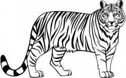 Tiger clip arts images free download black and white background ...