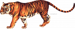 HD True Tiger Clipart Png Image Www - Animated Picture Of A Tiger ...