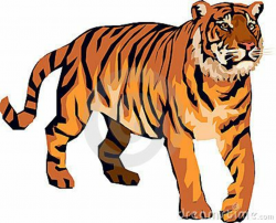 tiger clip art - Google Search | Primary Ark Animals | Clip art ...
