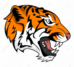 Roaring Tiger Clipart & Free Clip Art Images #20878 - Clipartimage.com