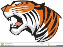 Roaring Tiger Clipart Free | Free Images at Clker.com - vector clip ...