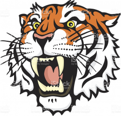 Roaring Tiger Clipart & Free Clip Art Images #20878 - Clipartimage.com