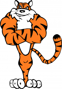 Free Tiger Cartoon Images, Download Free Clip Art, Free Clip Art on ...
