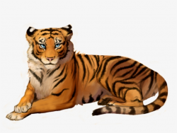 Png Tiger Clipart Photo Transparent - Tiger Clipart Png Transparent ...