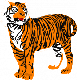 Cute baby tiger clipart free images 2 image - WikiClipArt