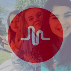 Bella Harrington❤️(@bellaharrington) | TikTok