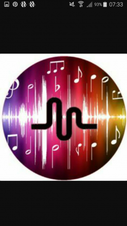 Pin by Bella Coutinho on TikTok/Musically in 2019 | Musicals ...