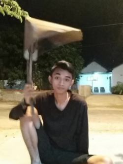 ▷ Tik Toker - @2161521085 TikTok Profile & stories,photos ...