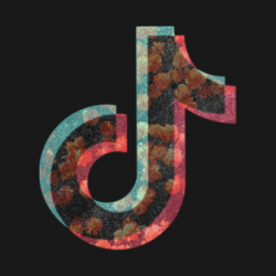 Tiktok Queen T-Shirts | TeePublic UK