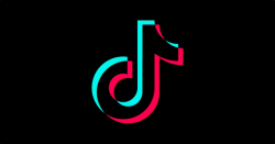 TikTok users can win Rs 1 lakh cash prize: Here\'s how - BOK face