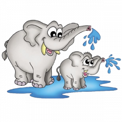 Download Baby Elephant Elephant Cartoon Picture Images ...