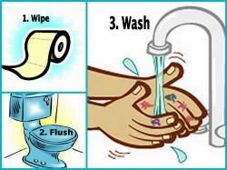 Clip Art Flush Toilet Illustrations And Hand Hygiene clipart ...