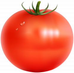 Tomato clipart transparent #14 | Clip art, Art images, Art