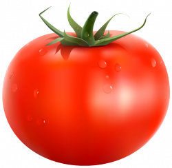 Tomato PNG Clipart Picture | Gallery Yopriceville - High ...
