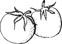 Tomatoes Black And White Clip Art at Clker.com - vector clip ...