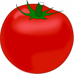 Tomato Clipart - Tomato Clipart Transparent Free - Png ...
