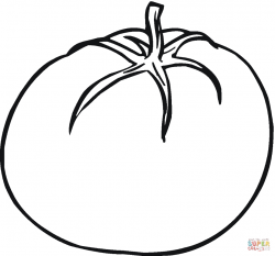 Tomato 4 coloring page | Free Printable Coloring Pages ...