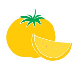 Clip art Illustration of a yellow Tomato | Garden Clipart