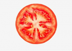 Download for free 10 PNG Tomato png slice top images at ...