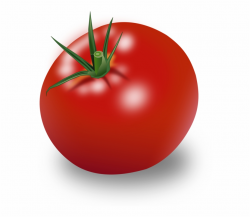 Small - Tomato Clipart, Transparent Png Download For Free ...