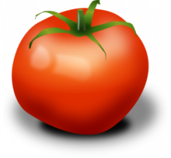 Small Tomato Clip Art at Clker.com - vector clip art online ...