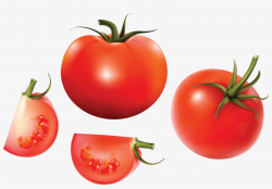 Tomato Splat Png Clip Art Free Library - Tomato Png - Free ...