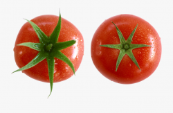 Download for free 10 PNG Tomato clipart splat top images at ...