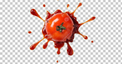 Stock Photography Pizza Tomato Italian Cuisine Ketchup PNG ...