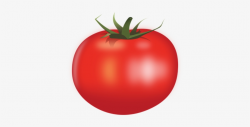 Tomatoes clipart transparent background, Tomatoes ...