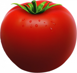 Download TOMATO Free PNG transparent image and clipart
